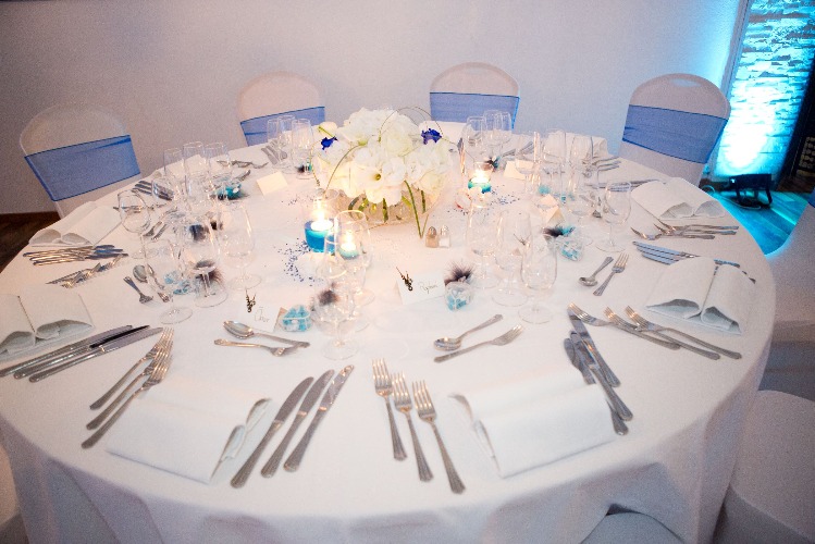 Mariage Bleu et Blanc Cendrillon 2.jpg